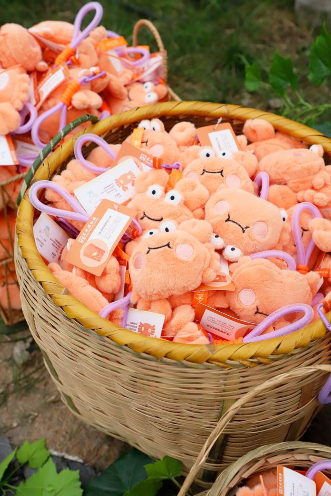 箱贴缘何成了“社交货币”瓦力棋牌江南观察 小小冰(图2)