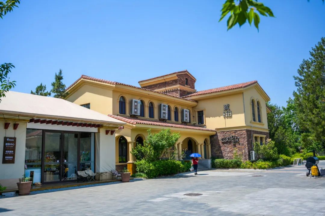 生文化旅游季专属优惠掉落瓦力娱乐棋牌2025大学(图2)