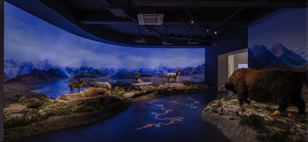 生文化旅游季专属优惠掉落瓦力娱乐棋牌2025大学(图3)