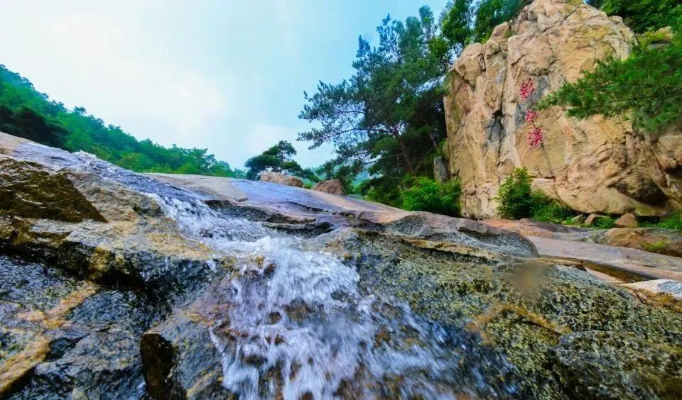 生文化旅游季专属优惠掉落瓦力娱乐棋牌2025大学(图8)