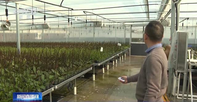 货开启！创意好物热销瓦力娱乐棋牌马年备(图4)